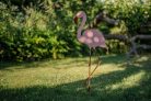 Flamingó Amígó