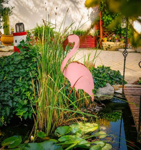Flamingó Amígó