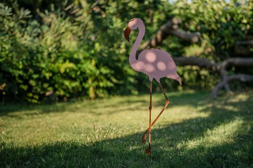 Flamingó Amígó