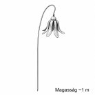 Csüngő Liliom